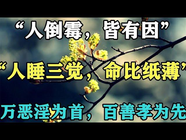 禪意人生合集：「人倒黴，皆有因」，「人睡三覺，命比紙薄」，「萬惡淫為首，百善孝為先」