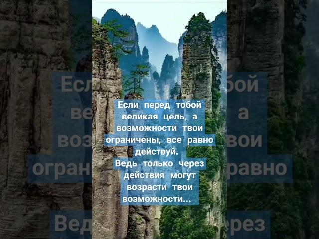 #жизнь. Действуй... #успех #правда #motivation