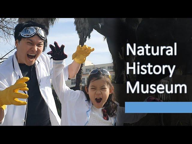 Natural History Museum of LA County! Buffalos, triceratops, and adaptations galore!