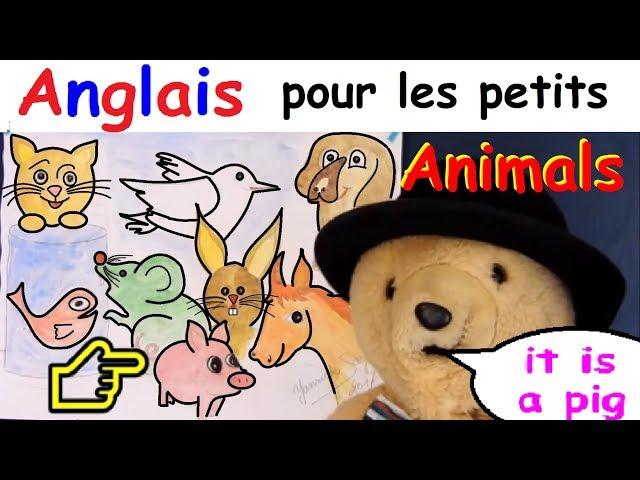 Anglais pour les petits et débutants : apprendre le nom des animaux