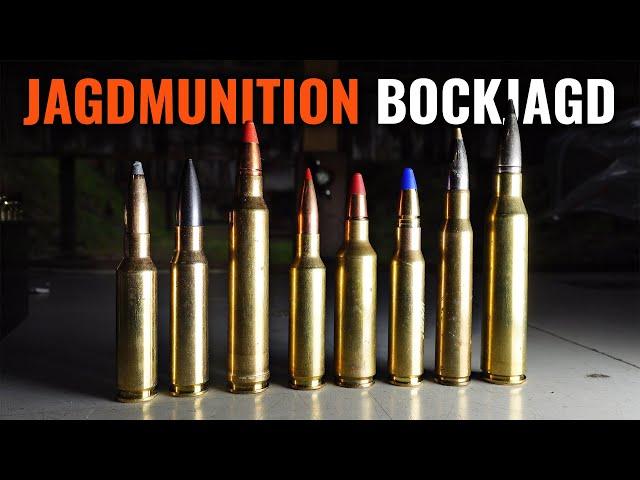 Hunting ammunition for roebuck hunting: How to make the right choice | JAGD TOTAL