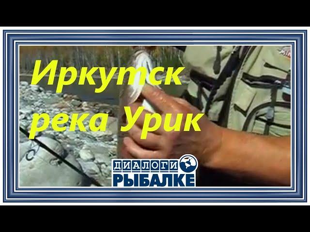 Диалоги о рыбалке -  079 / Иркутск. Река Урик