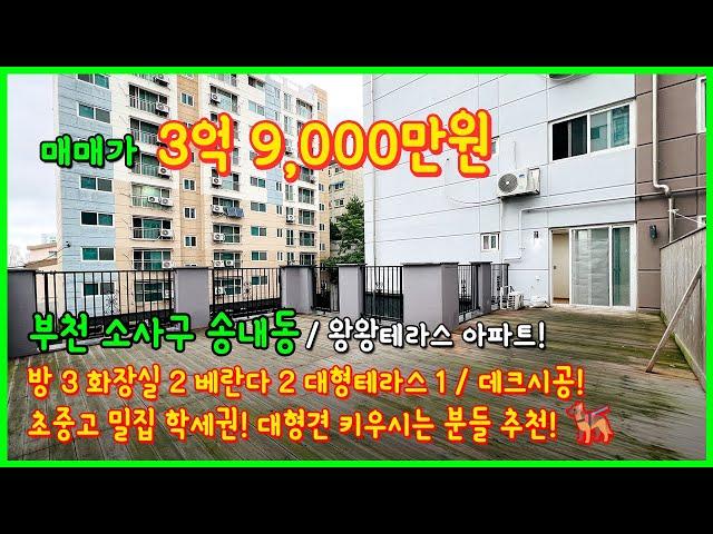 [부천테라스아파트](4-380) 왕왕테라스 아파트 나왔어요~! 대형견 키우시는 애견인분들 추천! 초중고 밀집지역 학세권! 학부모분들도 추천! 부천 송내동 [부천아파트매매]