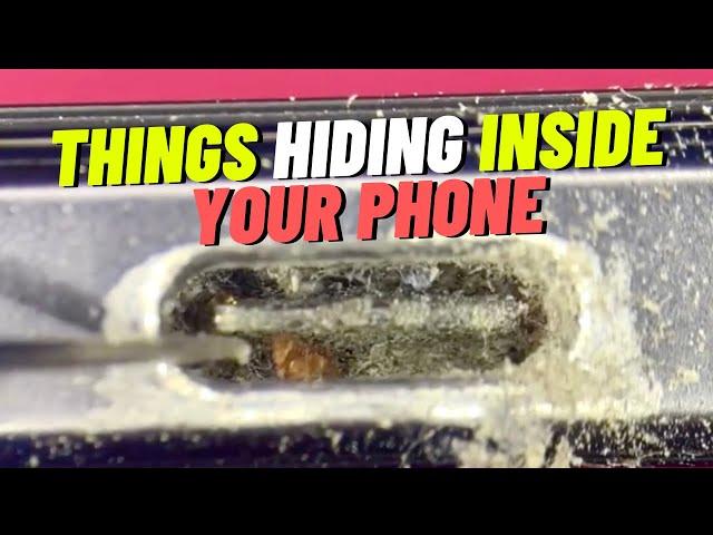 See The Shocking Things Hiding Inside Your Phone. Phone And AirPod Cleaning Under The Microscope.