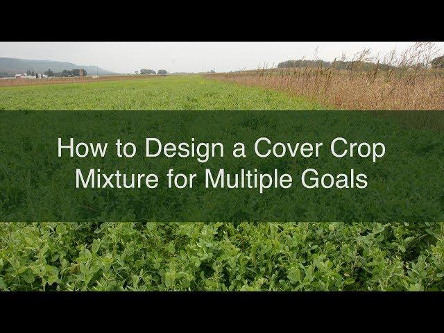 How to Design a Cover Crop Mixture for Multiple Goals