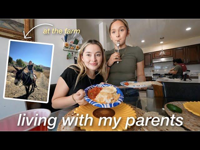 a day in my life *living with my parents* | cleaning, shopping, tacos