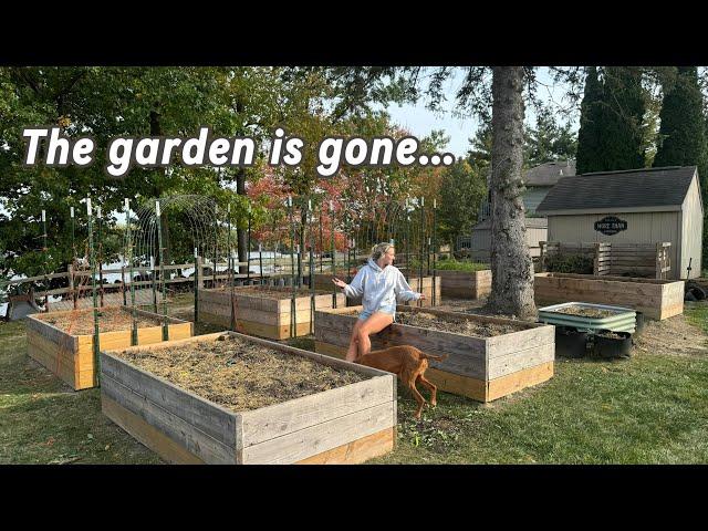 Everything I Learned Gardening This Year - Plant Spacing, Soil Types, Trellises & More!