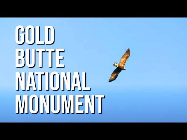 Exploring Gold Butte National Monument