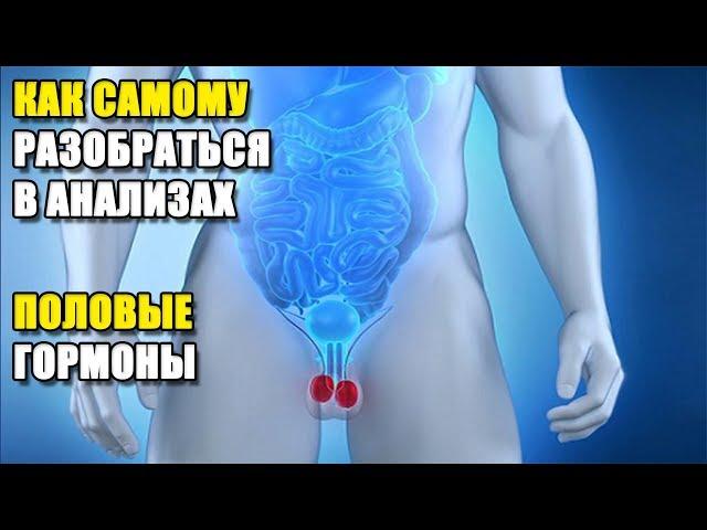 КАК САМОМУ РАЗОБРАТЬСЯ В АНАЛИЗАХ | ПОЛОВЫЕ ГОРМОНЫ