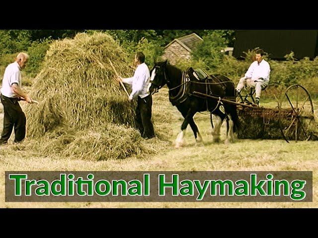 Traditional Hay Making