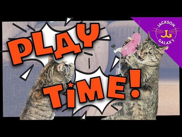 Cute Cat Compilation: Playtime!