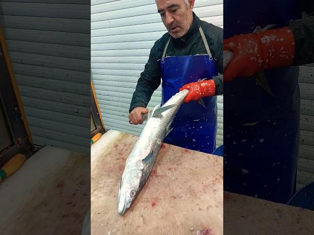 Amazing King Fish Cutting Skill