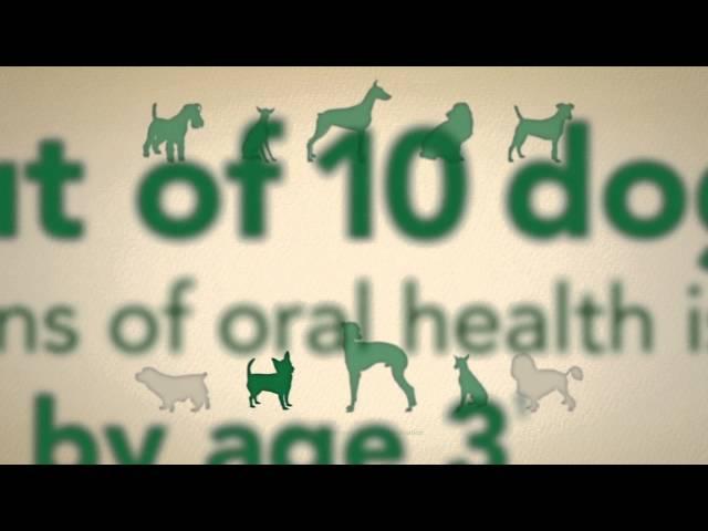 The Ins and Outs of GREENIES® Dental Chews