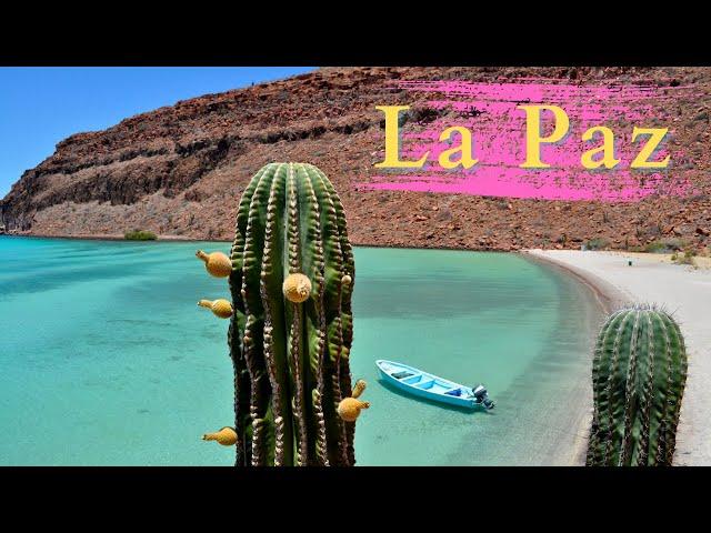 Amazing La Paz, Mexico  - City Center, Food and Beaches