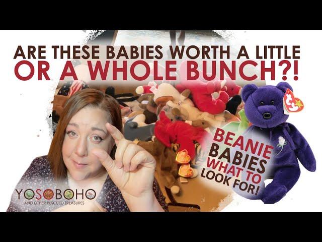  What are my Beanie Babies Worth? How to Quickly Value Beanie Babies!