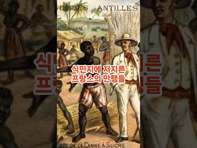 식민지에 저지른 프랑스의 만행들(French atrocities committed to the colony) #history #역사 #프랑스 #아프리카 #식민지 #세계대전