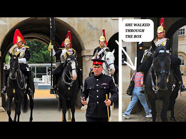 NO ONE EXPECTED THIS: Tourist Walks Through the Horse Box; Armed Police Want to Speak to Parents