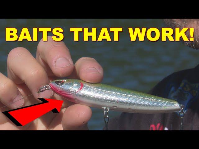 Spring Topwater Baits | Bass Fishing
