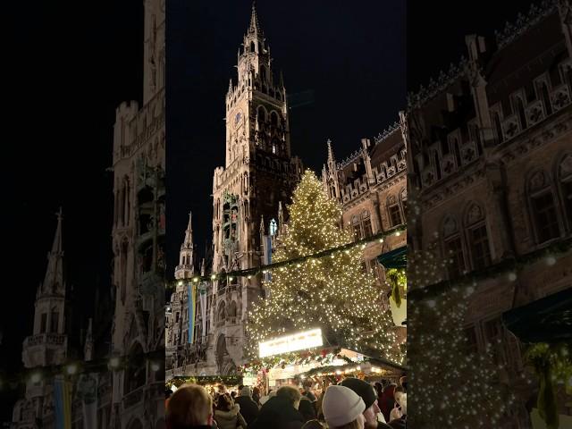 Happy Christmas Market in Munich Today #christmas #merrychristmas #live #travel