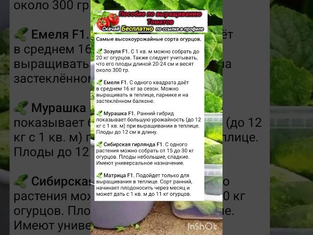 🟢Самое высокоурожайные сорта огурцов 2025