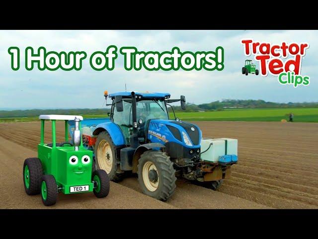 1 Hour of Big Machines For Kids Who LOVE Tractors!  Tractor Ted Official