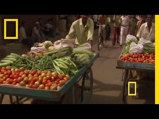 Diwali - Festival of Lights | National Geographic