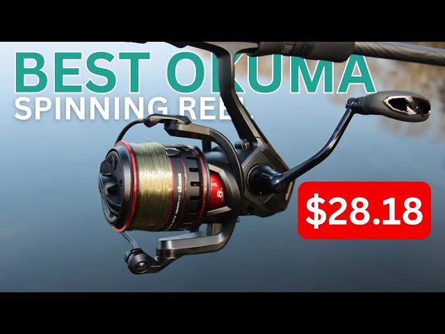 5 Best Cheap OKUMA Spinning Reels UNDER $100