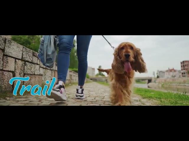 City Paw Cleaner Promo by Pet Marketing Agency