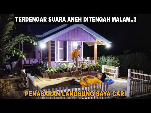 TERDENGAR SUARA ANEH DI TENGAH MALAM..!! PENASARAN LANGSUNG SAYA CARI || BERMALAM DI KEBUN