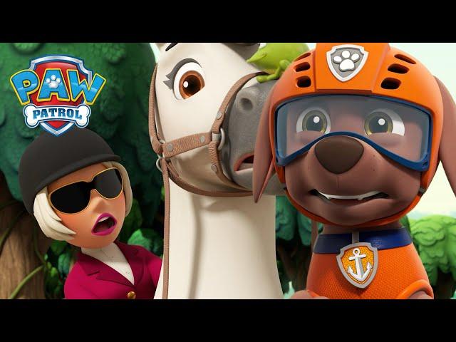 Pups save Winnie and her Pony from the jungle swamp! - PAW Patrol UK - Cartoons for Kids Compilation