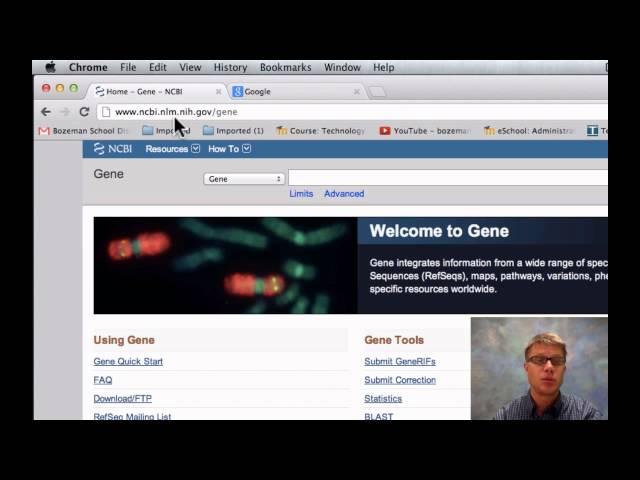 Comparing DNA Sequences