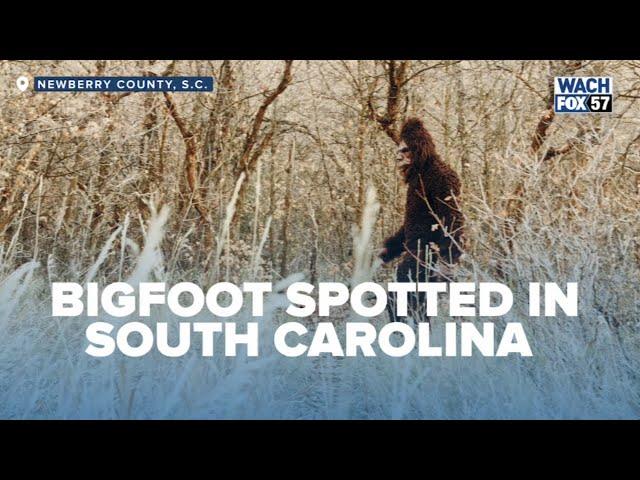 Bigfoot Sighting In South Carolina Sparks New Investigation By Animal Planet Host