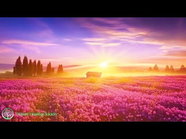 528 HZ SERENE SUNRISE  Beautiful HAPPY Morning Music - Positive Euphoria Energy