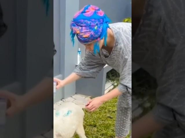 viral ayu tingting lagi mandiin kambing kesayangan nya #shorts #trending #ayutingting #viral#terbaru