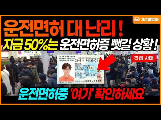 [긴급] 지금 운전면허증 '여기'를 반드시 확인하세요! 50%정도가 운전면허증 뺏길 위기입니다. 특히 고령자 운전면허 갱신 대상 주목!!