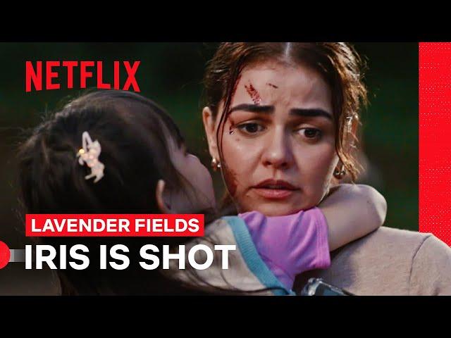 Vitto Accidentally Shoots Iris | Lavender Fields | Netflix Philippines