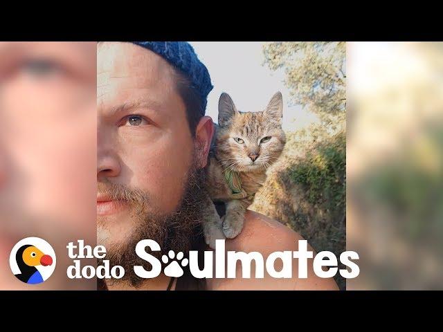 Guy Biking Across the World Picks Up a Stray Kitty | The Dodo Soulmates