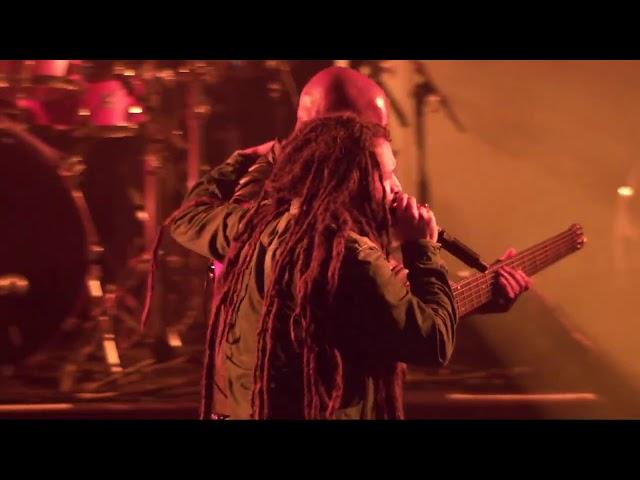 Alborosie - 'Kingston Town' Live at Couleur Café (2018)