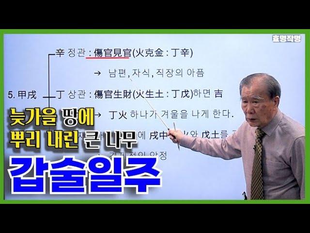 [고급] 2강 - 갑술(甲戌)일주 특징