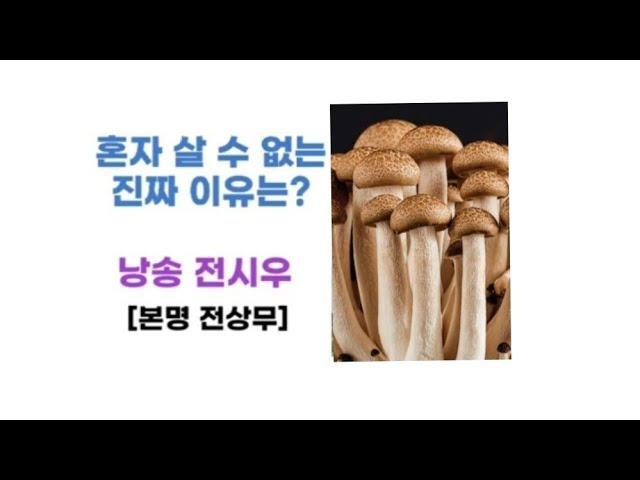 탑.신미균시인].시낭송전시우TV(본명:전상무).명시.좋은시. 애송시. 고은하.봉경미.한국인이좋아하는명시.혼자살수없는진짜이유