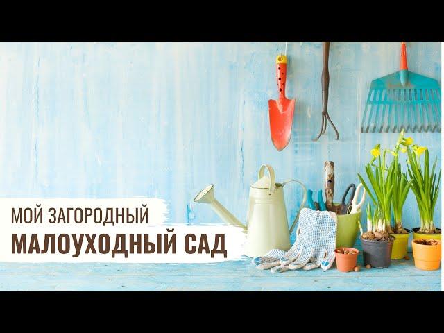 Малоуходный сад / Мой Загородный / #31