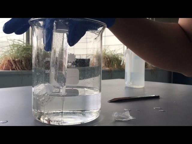 Magnesium and Hydrochloric Acid Lab