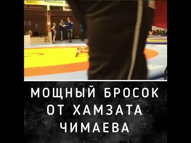 Хамзат Чимаев