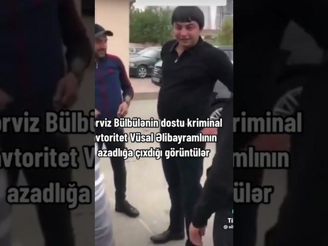 Pərviz Bülbülənin Dostu Kirminal Avtoritet Azadlıqda.. #meyxana #pervizpulbule