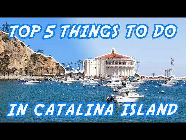 Top 5 Things to Do in Catalina Island | California | The Adventure Buddies