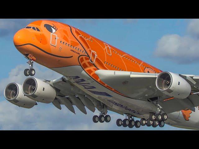 60 MINUTES PURE AVIATION - AIRBUS A380, ILYUSHIN 62, BOEING 747 - Aviation Review of Year 2020 (4K)