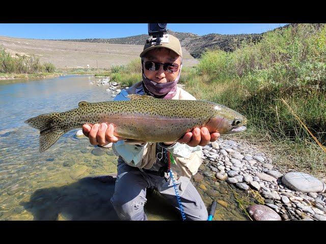 San Juan River No BS  Talk Fishing Report Real Action June 2024