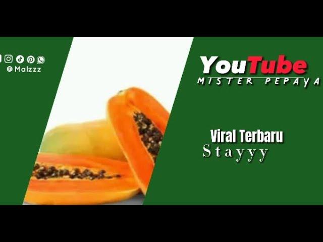 VERSI INDO BOCIL VCS. Tetap Di Channel -Mister pepaya