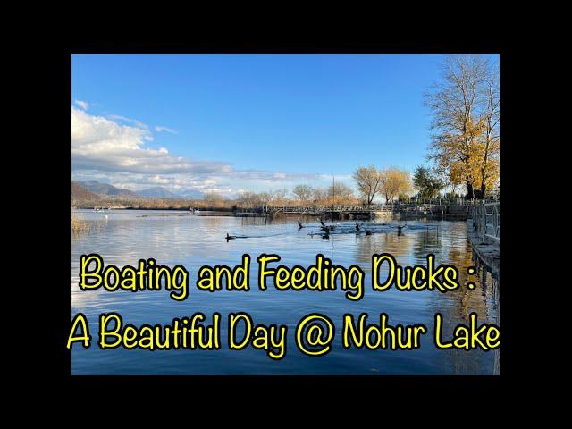 A Beautiful Day at Nohur Lake in Gabala : Boating and Duck Feeding