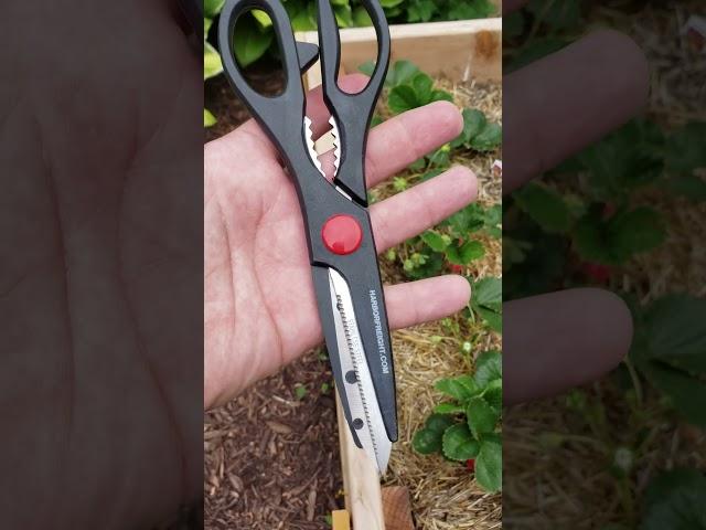 Motivational Talk: Gardening Scissors